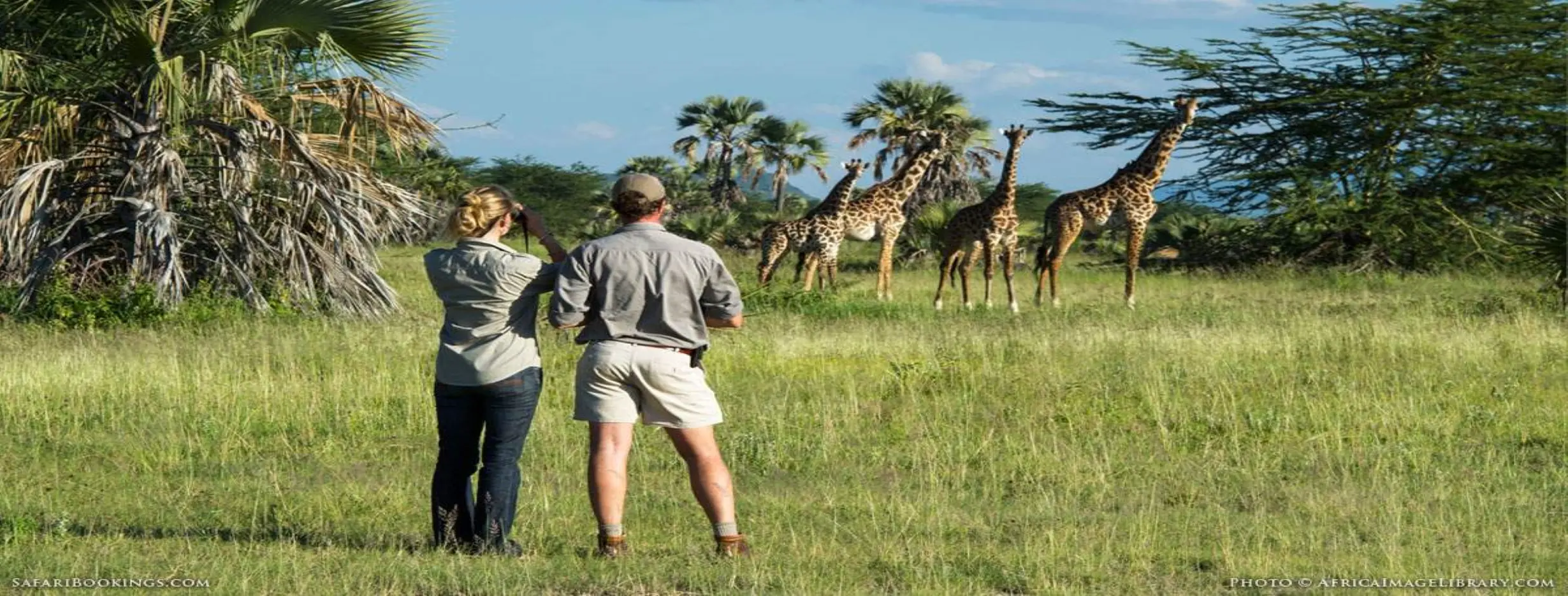Image for Wildlife Watching